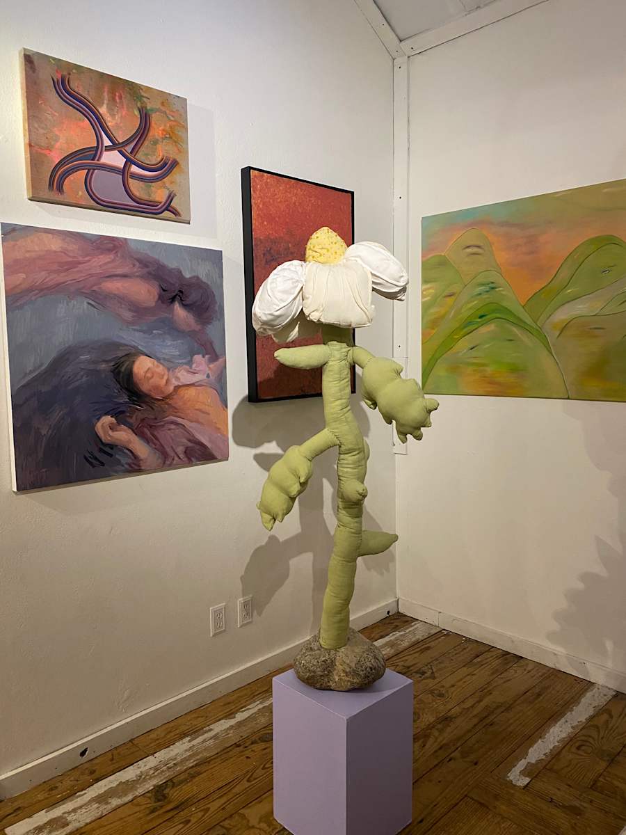A Bloom From the Ashes, Wild Matilija Poppy by Elena Stonaker 