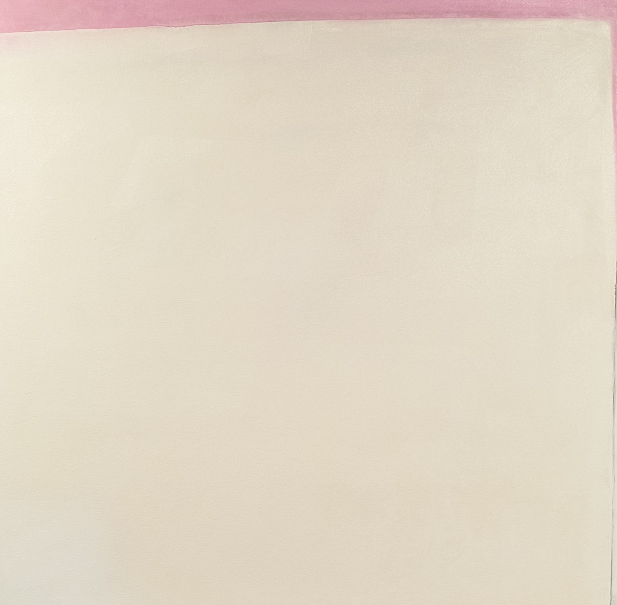 Pink Periphery by Denise Pfau Demby 