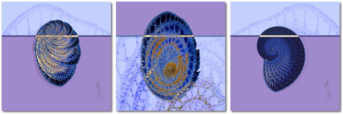 Cut Stem Triptych 2025 by Catrin O'Hara, Image 1.
