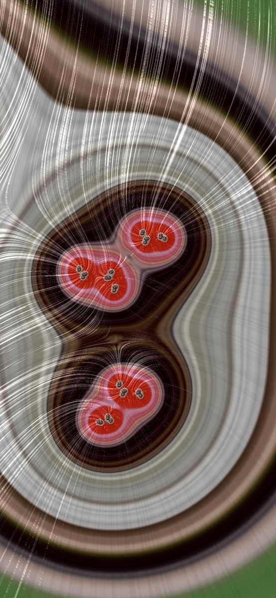 Red Berry Morphing by Catrin O'Hara, Image 3.