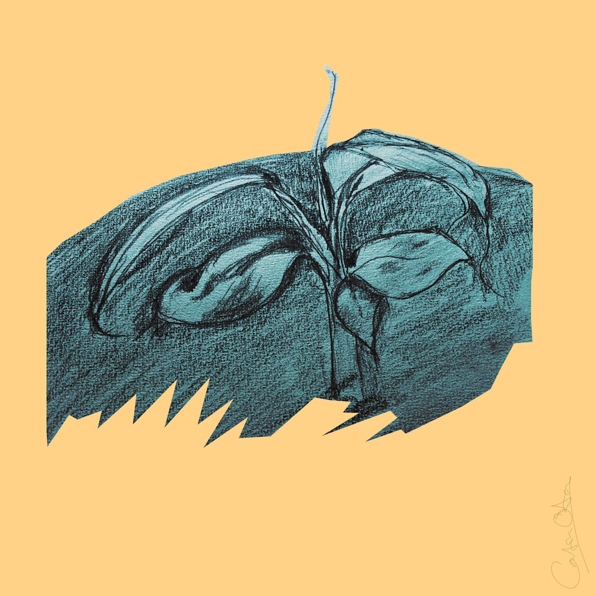 Plant Series 2: Masked Cavendish 12 by Catrin O'Hara  Image: Cutout effect with sketch of growing plant and paper very visible against buttery yellow tangerine background. One of a limited edition of 25 prints.
