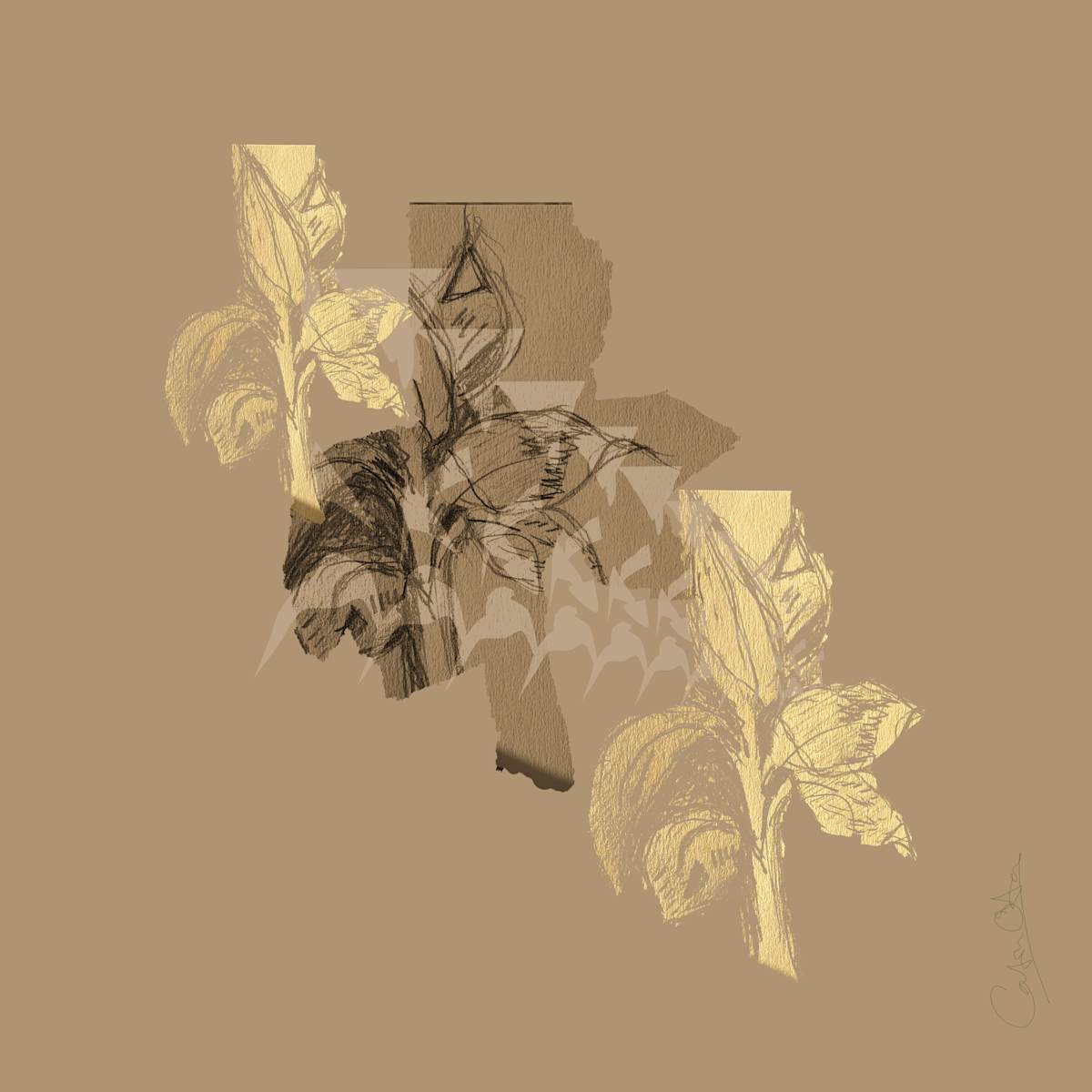 Plant Series 2: Masked Cavendish 9 by Catrin O'Hara  Image: A montage of one of my journal sketches of a plant drawn repeatedly over a period of four months during the pandemic. I opted for earthy tones to make the straw/gold of the two outer repeat images seem to glow. 