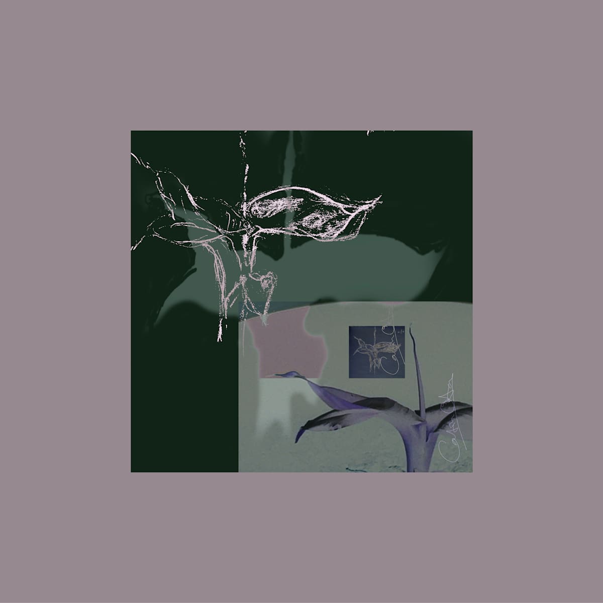 Sometimes Barely There, 1 by Catrin O'Hara 