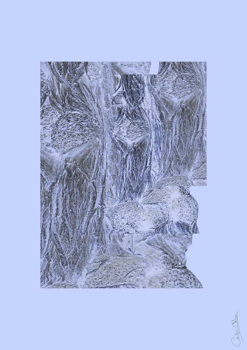 Spirits in the Wood, 1 by Catrin O'Hara  Image: A montage created from images of tree bark on daily walks in the woods. 