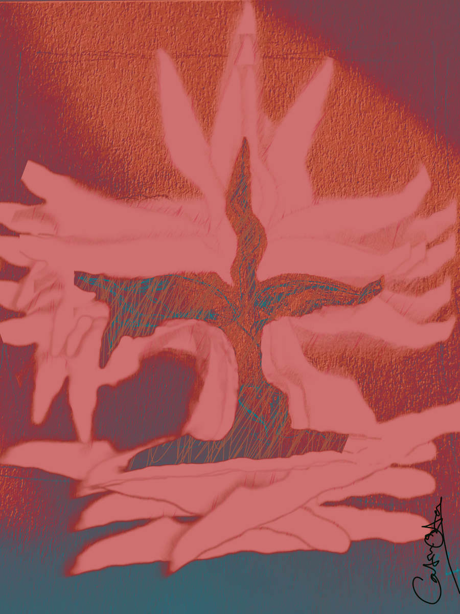 Plant Series 2: Masked Cavendish 2, Red by Catrin O'Hara  Image: My original hand drawn sketch, digitally masked and multiplied to create an image of burning wings with a shaft of light thrown across.