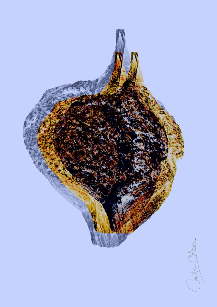 Heads in Bark - Browns and Yellows by Catrin O'Hara  Image: Limited Edition 1/5. I am always intrigued by the texture of tree bark. This group of pictures was inspired by a medallion-like outgrowth on a tree which looked rather like two heads whispering or kissing. This version keeps the woody feel with brown and yellow standing out on a lilac background.