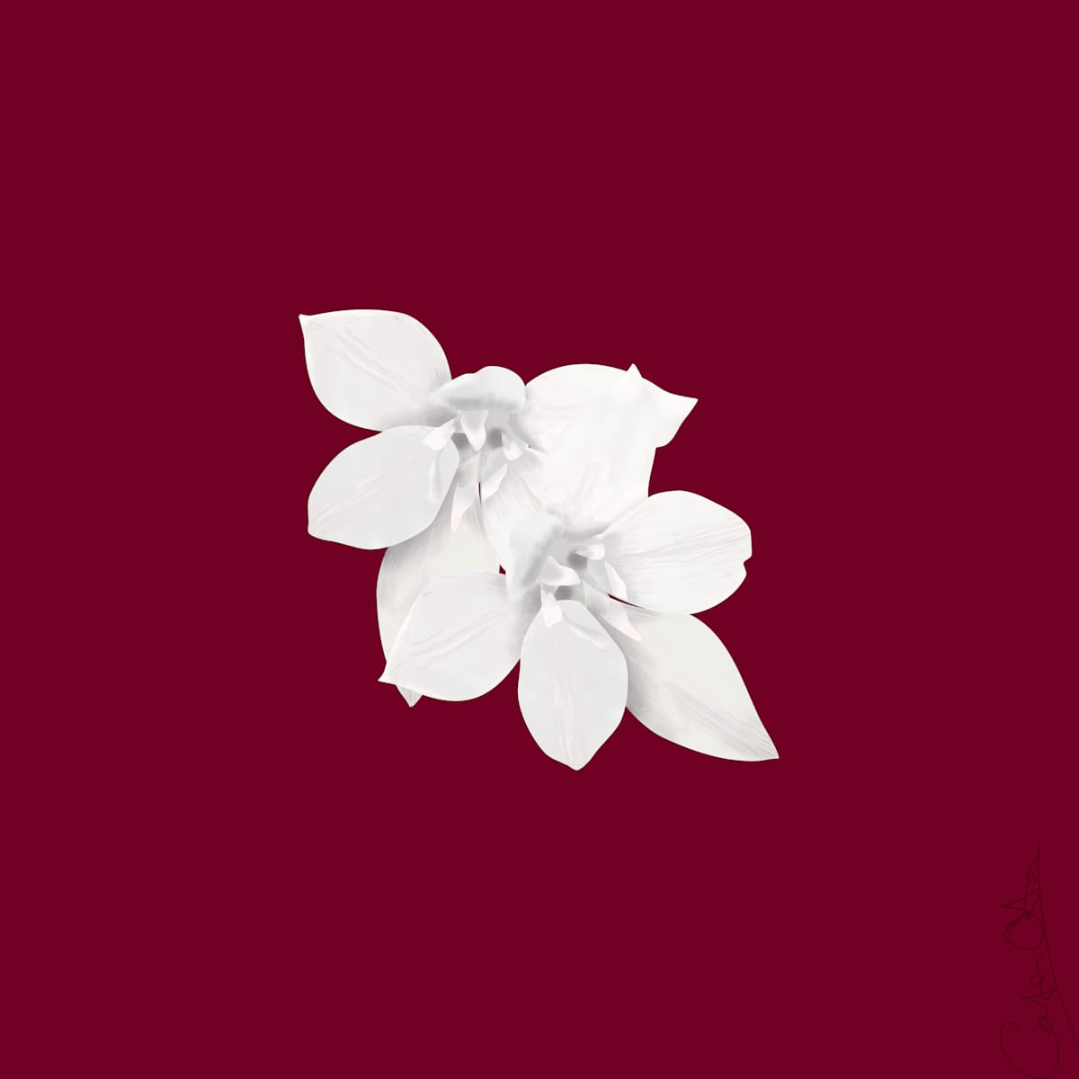Woodland Flowers White on Red by Catrin O'Hara  Image: White flowers stand out on a deep red background as a reminder of the small beauties of early spring walks in the woods. 