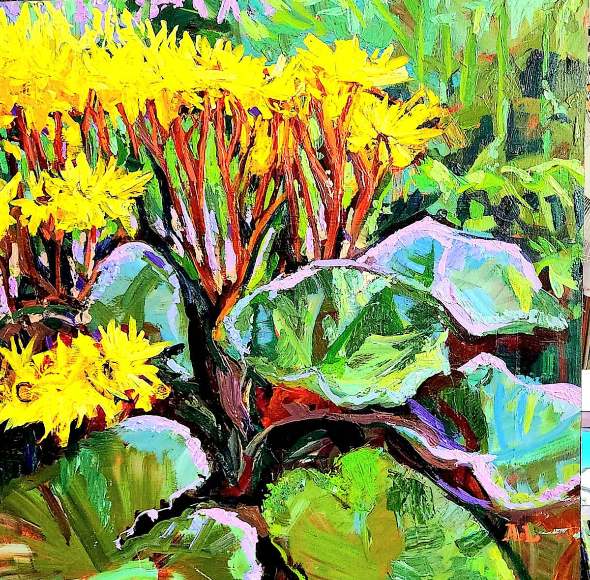 Ligularia by Alina Lloyd 