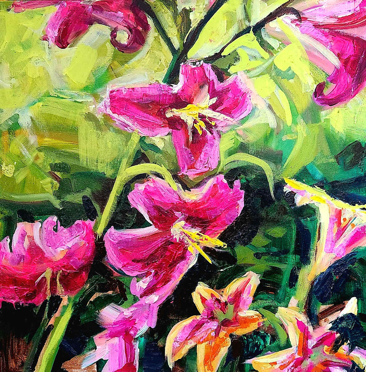 Lilly Light by Alina Lloyd 