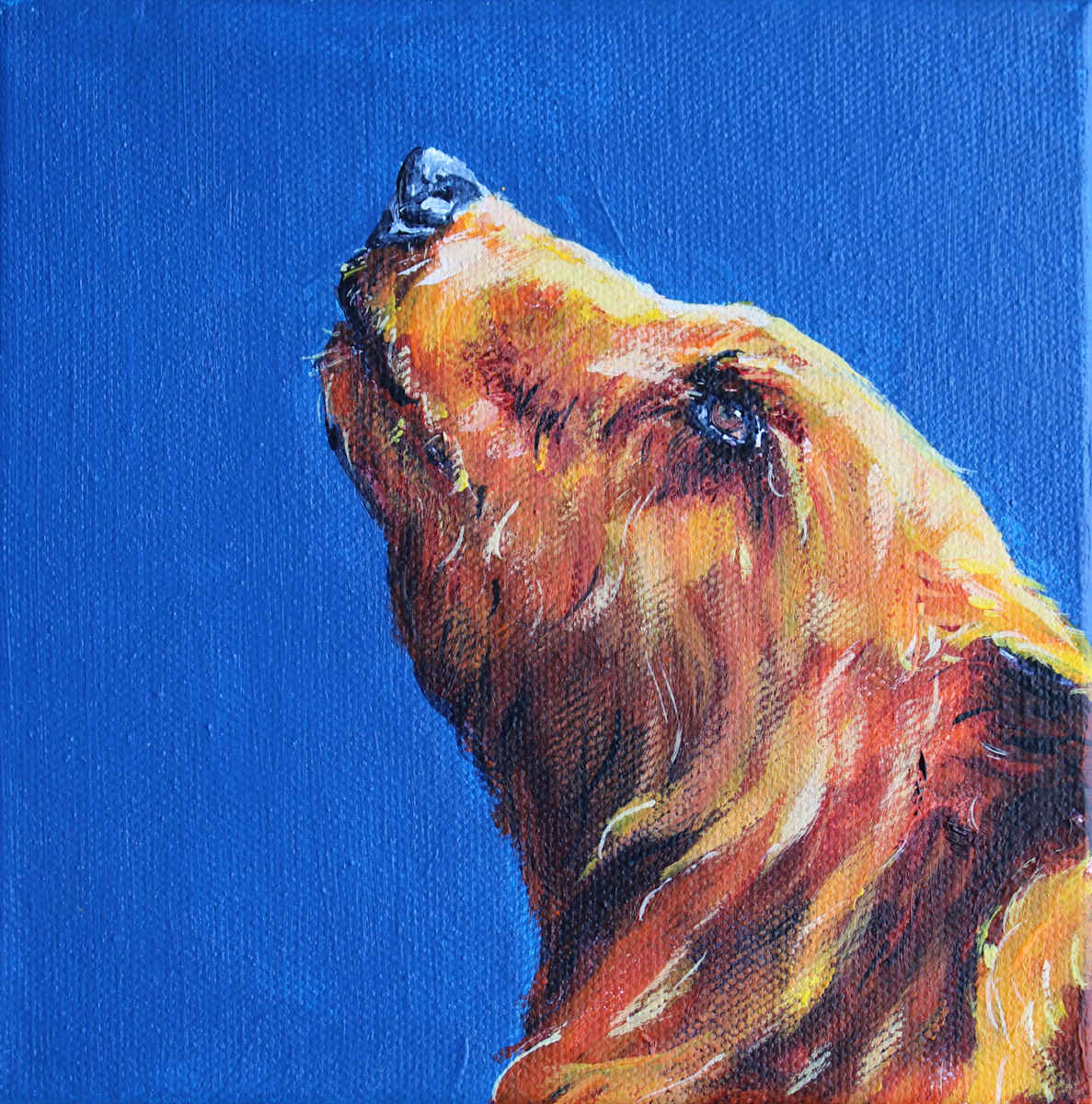 A Taste of Honey by Lisa Bramhill 