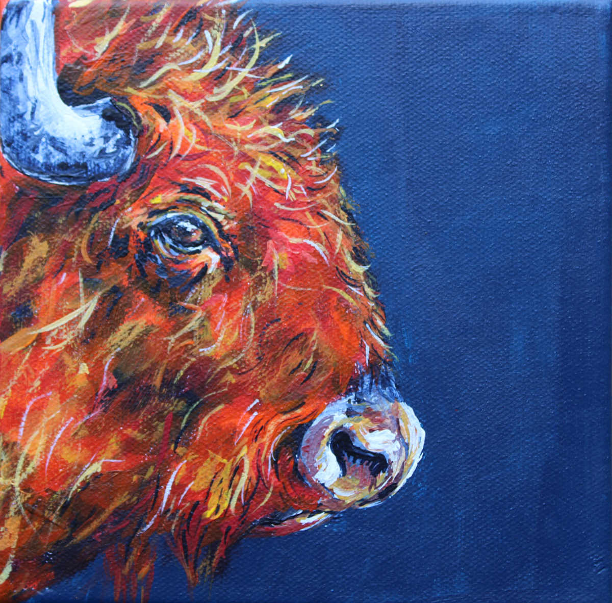 Follow the Sun by Lisa Bramhill 