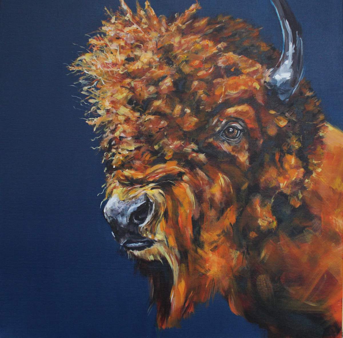 A Buffalo Named Teddy by Lisa Bramhill  Image: When my boys were small we used to drive up to Ct from Va. Those summers were spent fishing, hiking, and doing fun stuff. We would always hike Bear Mountain and Kent Falls. We would also visit a wildlife farm on our way to hike the falls or on our way home to the grands. On the farm was a Buffalo named Teddy. This is a tribute to him and those sweet summertime memories.