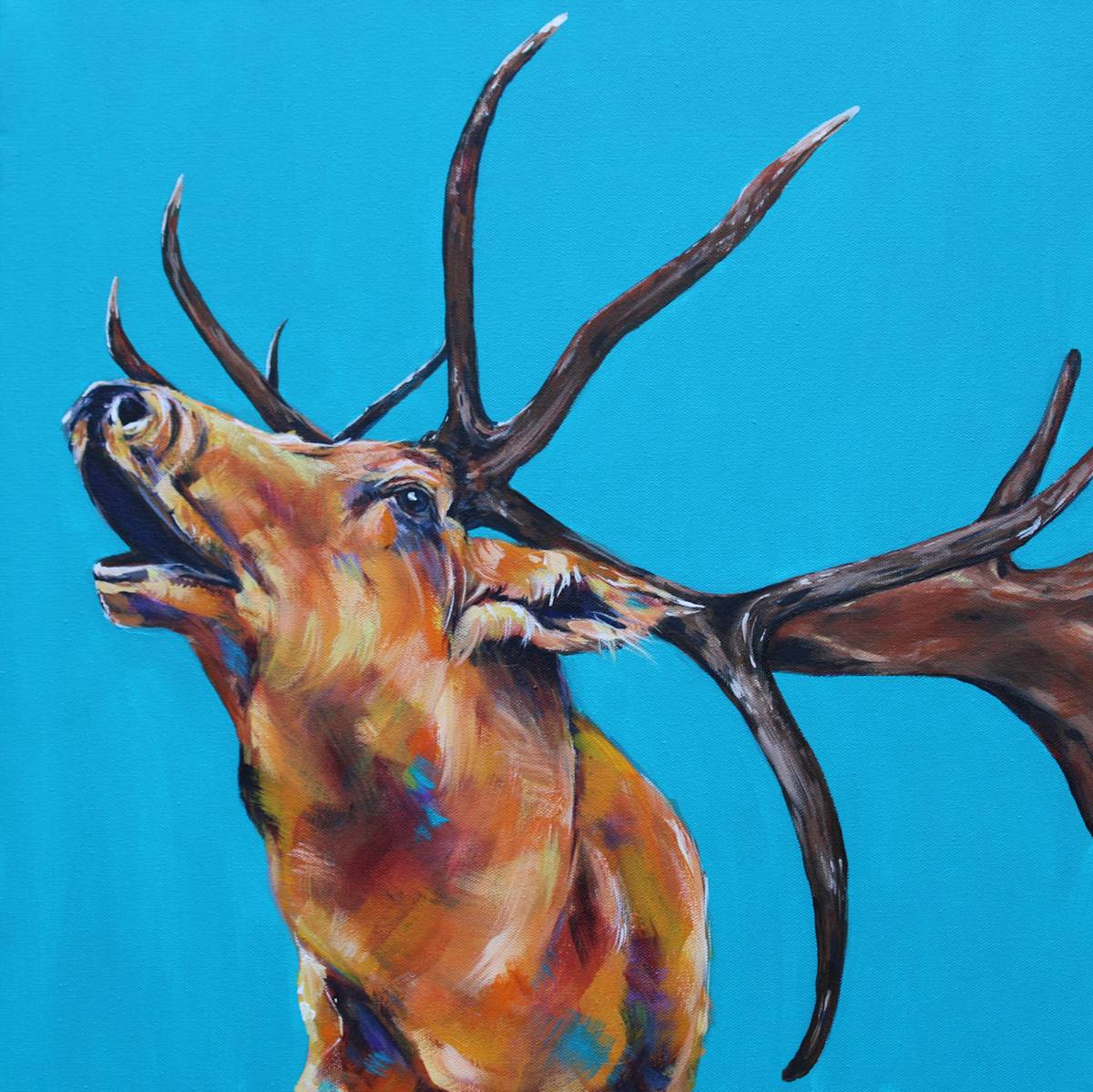 Dusk of Summer by Lisa Bramhill 