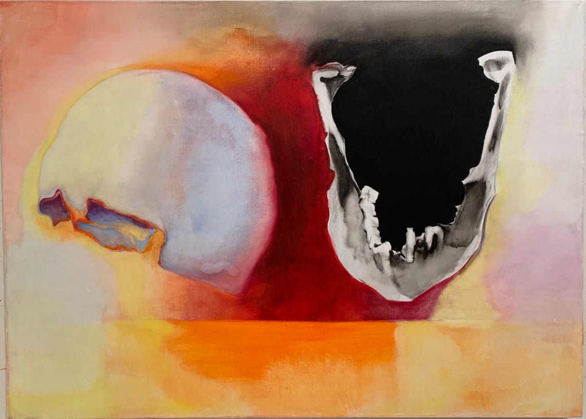 Plinius The Elder's skull by Maria Mimma Scarpini  Image: Plinius the Elder's skull