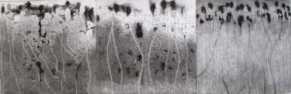The Garden by Maria Mimma Scarpini  Image: Charcoal on Braille embossed paper, 2010
