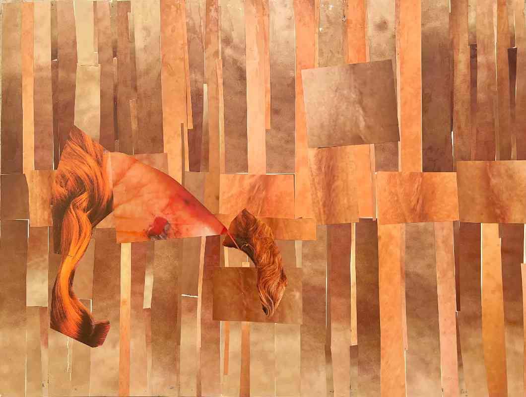 American Pelt IIV by Jeannie N. Hua 