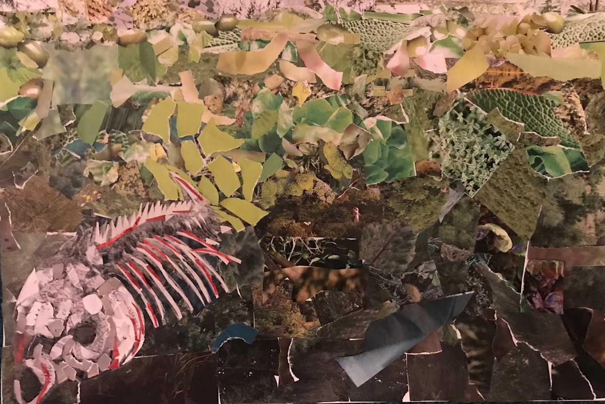 Fish by Jeannie N. Hua 
