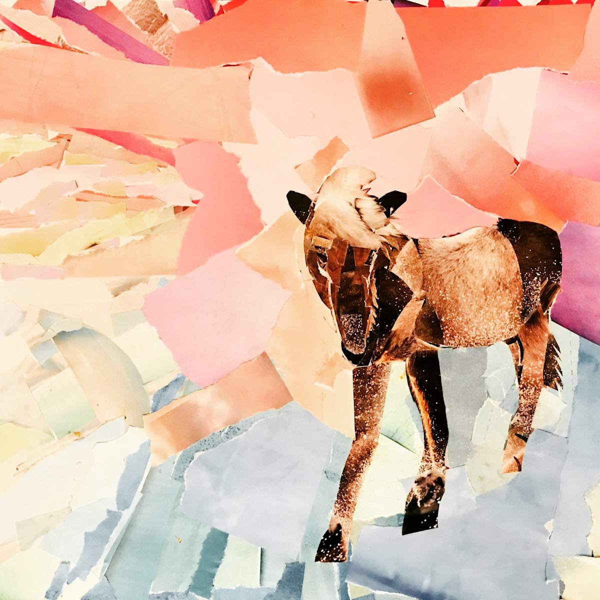 Horse by Jeannie N. Hua 