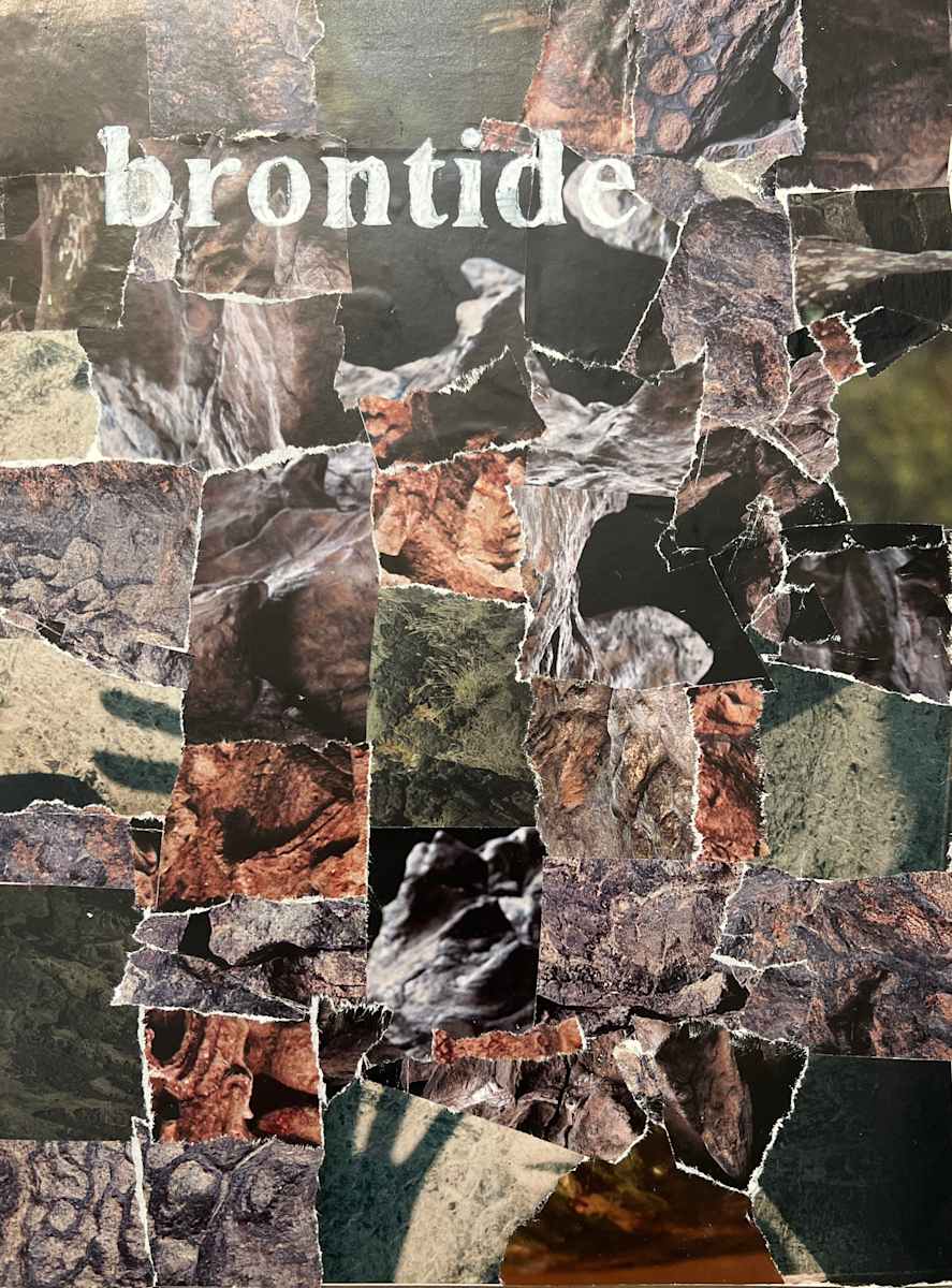 Brontide - low muffled sound like distant thunder heard along seacoast and over lakes by Jeannie N. Hua, Image 1.