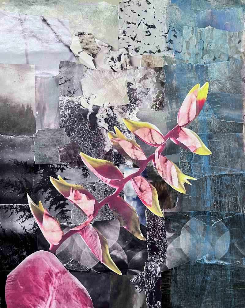 "Internet Science" by Jeannie N. Hua, Image 3.