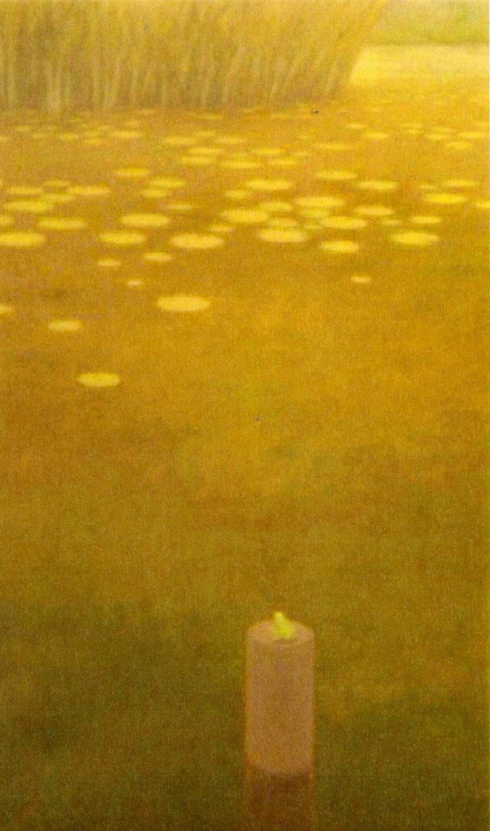 - sin titulo -  frog on tree stump by John Fraser 