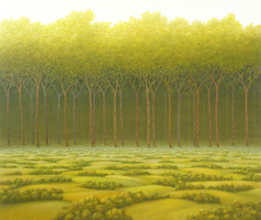 *- sin titulo - field and background forest by John Fraser 