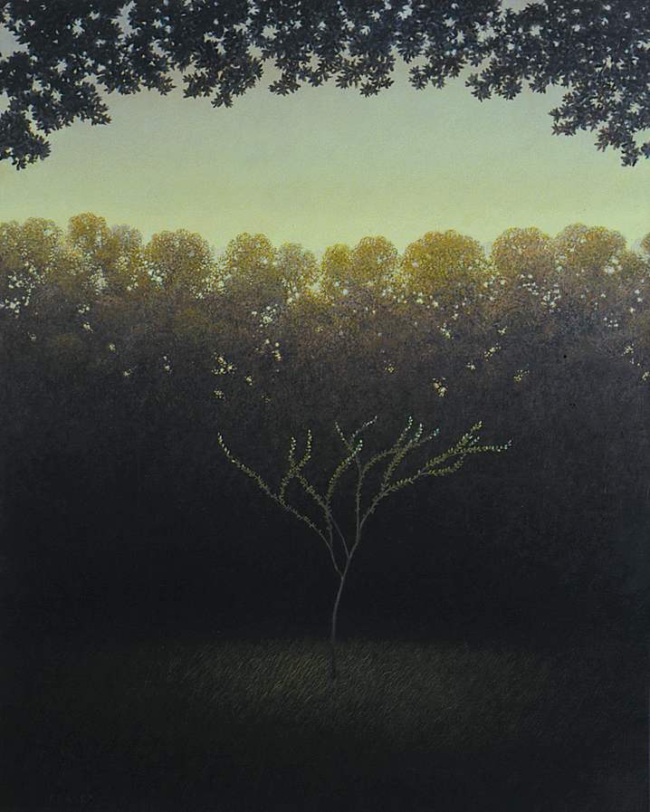 - sin titulo - arbolito by John Fraser, Image 2.