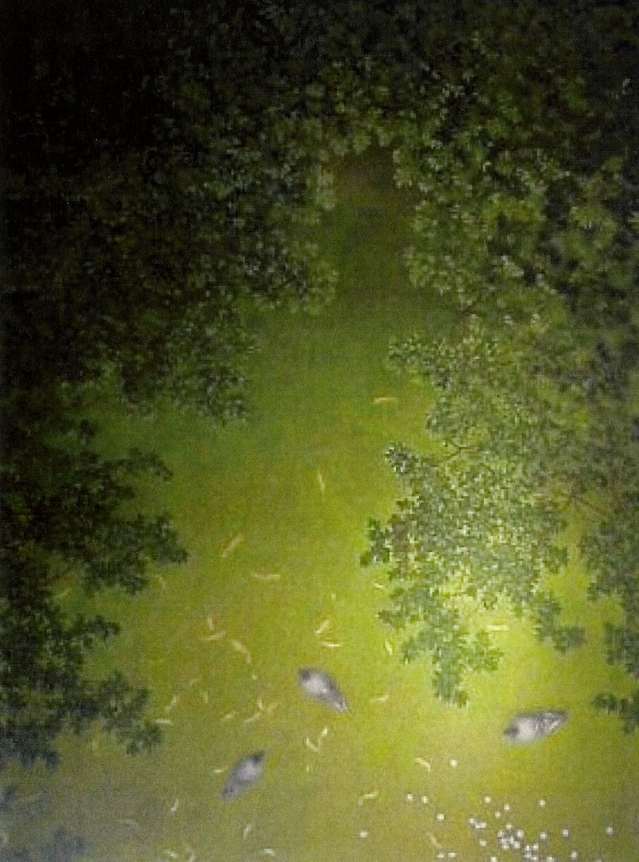 - sin titulo - pigeons on the grass by John Fraser, Image 1.