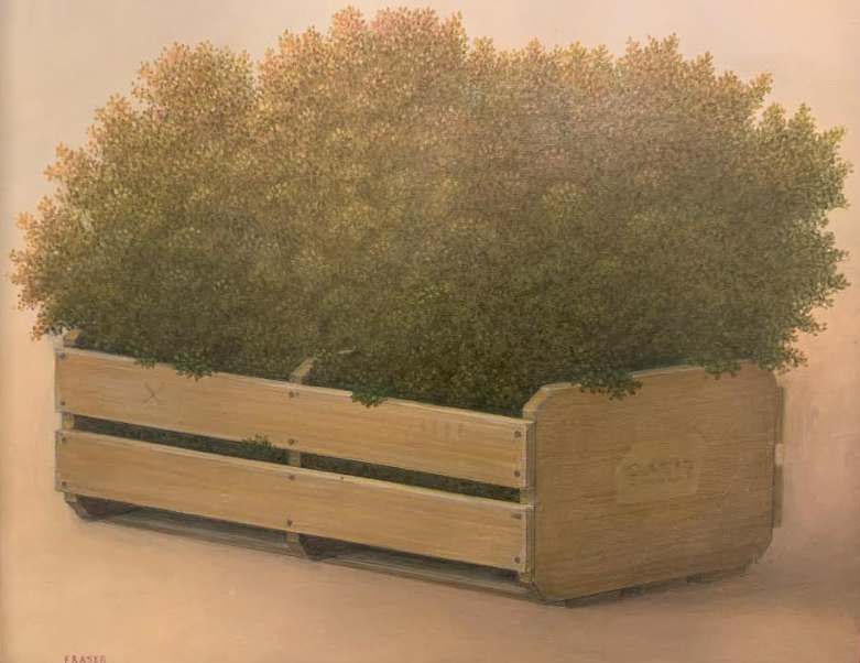 *El Oasis by John Fraser 