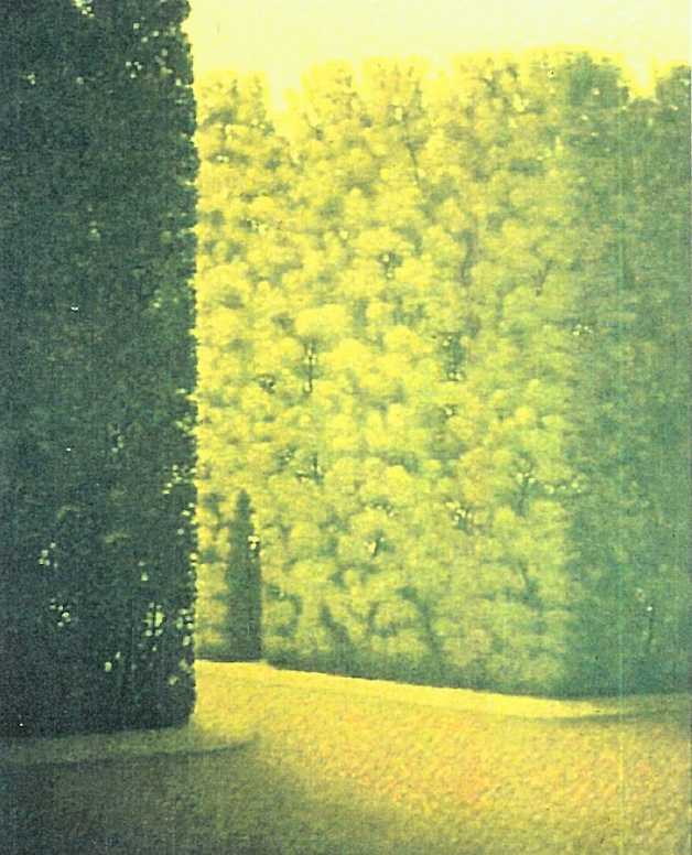 - sin titulo - hedge entrance by John Fraser 