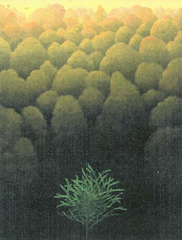 - sin titulo - arbolito y bosque by John Fraser 