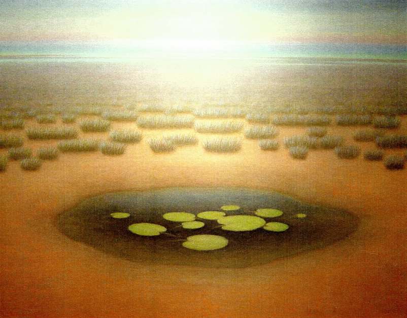 - sin titulo -  pond and Lillypads by John Fraser 