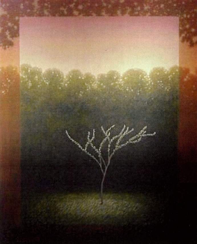 - sin titulo - arbolito by John Fraser 