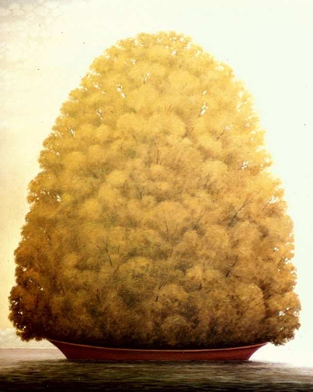 - sin titulo - trees - boat by John Fraser 