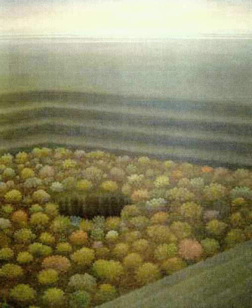 - sin titulo - tree theater by John Fraser 