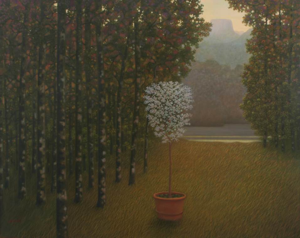 - sin titulo - arbolito floreado by John Fraser, Image 2.