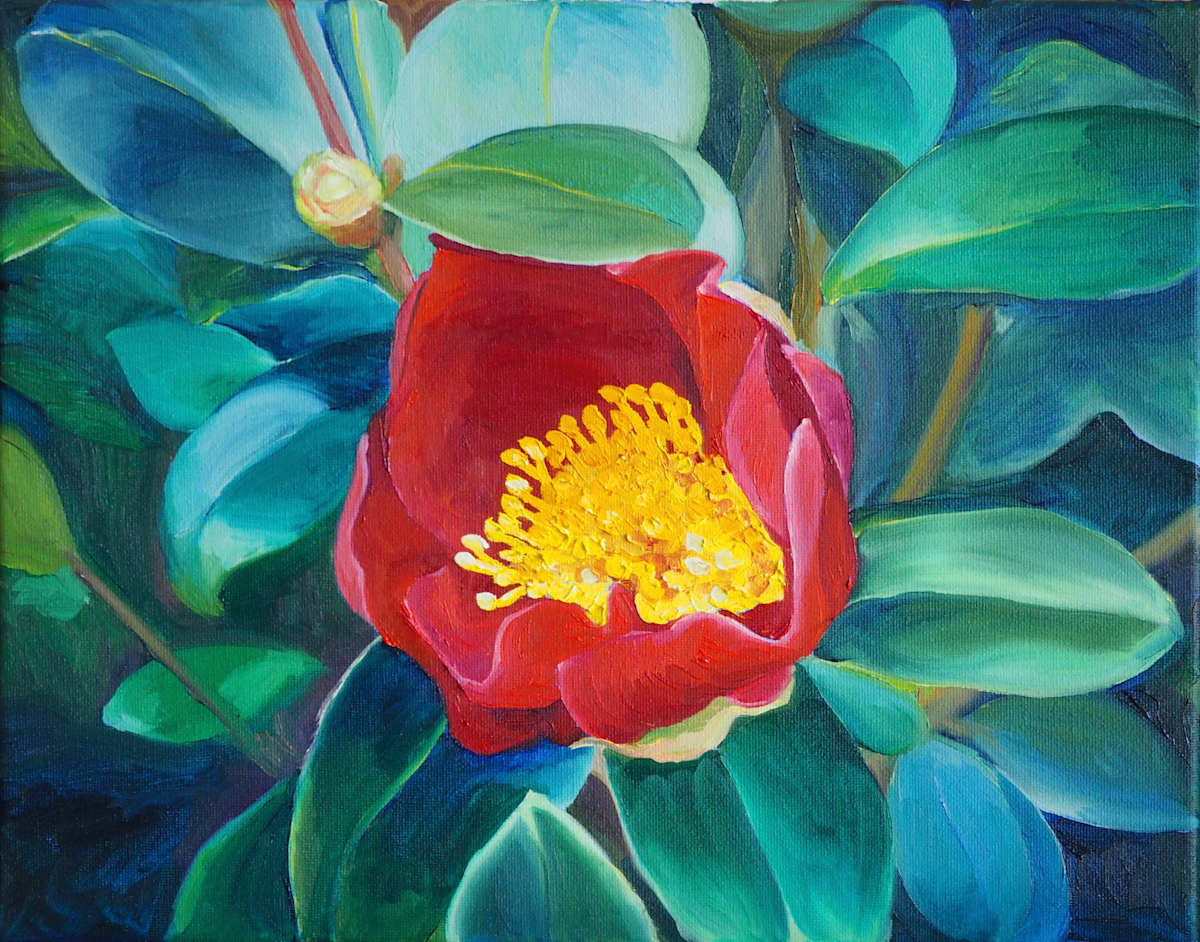Yuletide Sasanquas by Claire Dawkins 