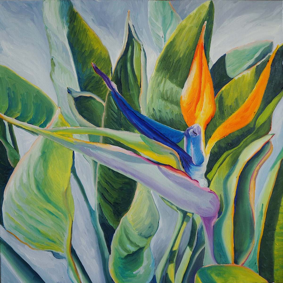 Bird of Paradise for Josef by Claire Dawkins 