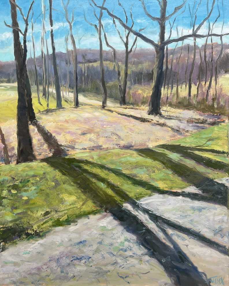 Shadows Across the Hills by Jinx Constine 
