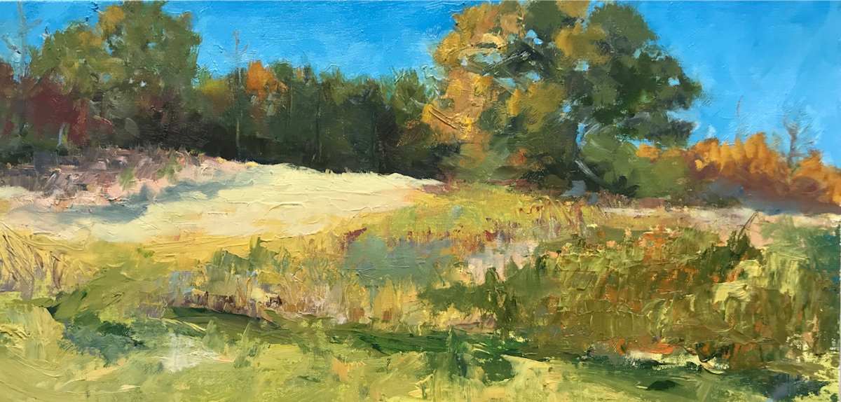 Sunny Day at Fort Hill Plantation, VA by Jinx Constine 