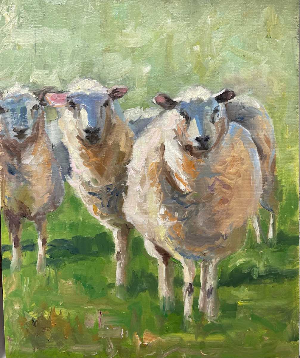 What's Better Than Wool? by Jinx Constine 