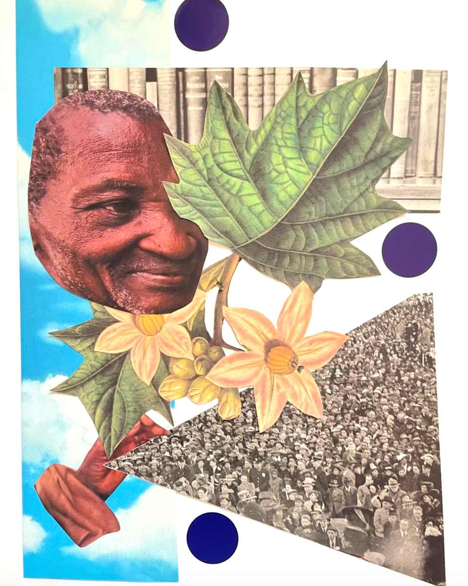 Story Collector by Indigene Theresa Gaskin 