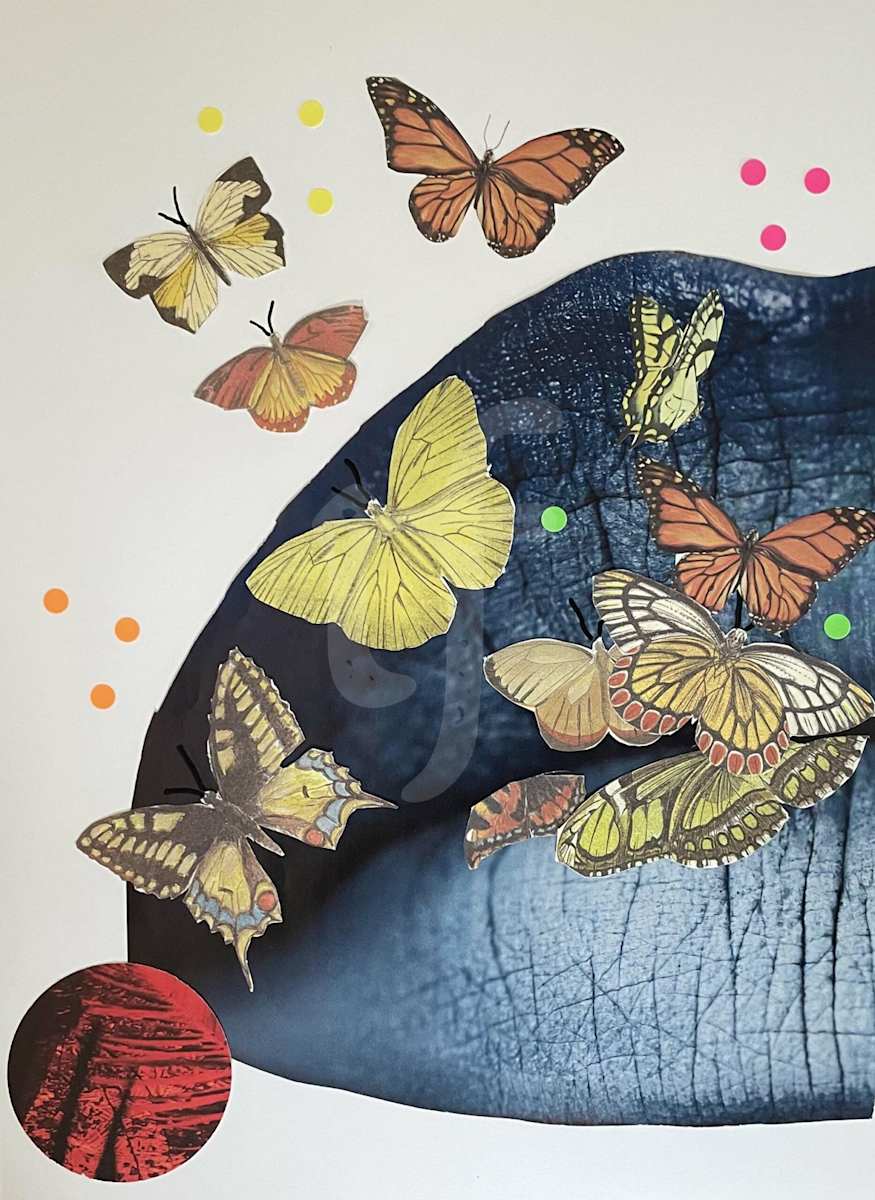 Butterfly Kisses by Indigene Theresa Gaskin 