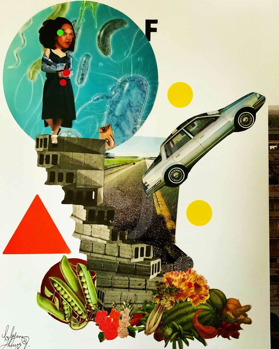 Shakey Ground by Indigene Theresa Gaskin 