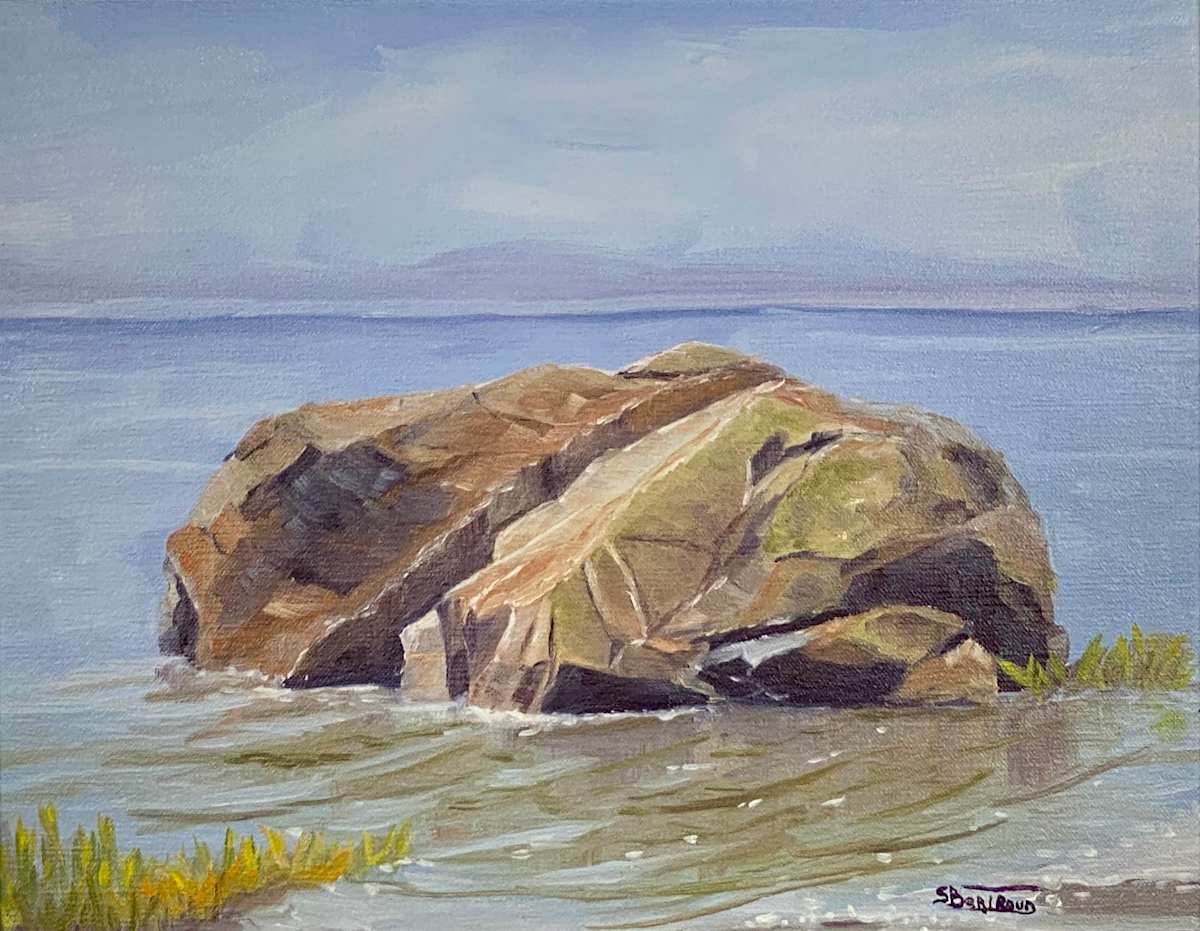 Gros Plan by Suzanne Bertrand 