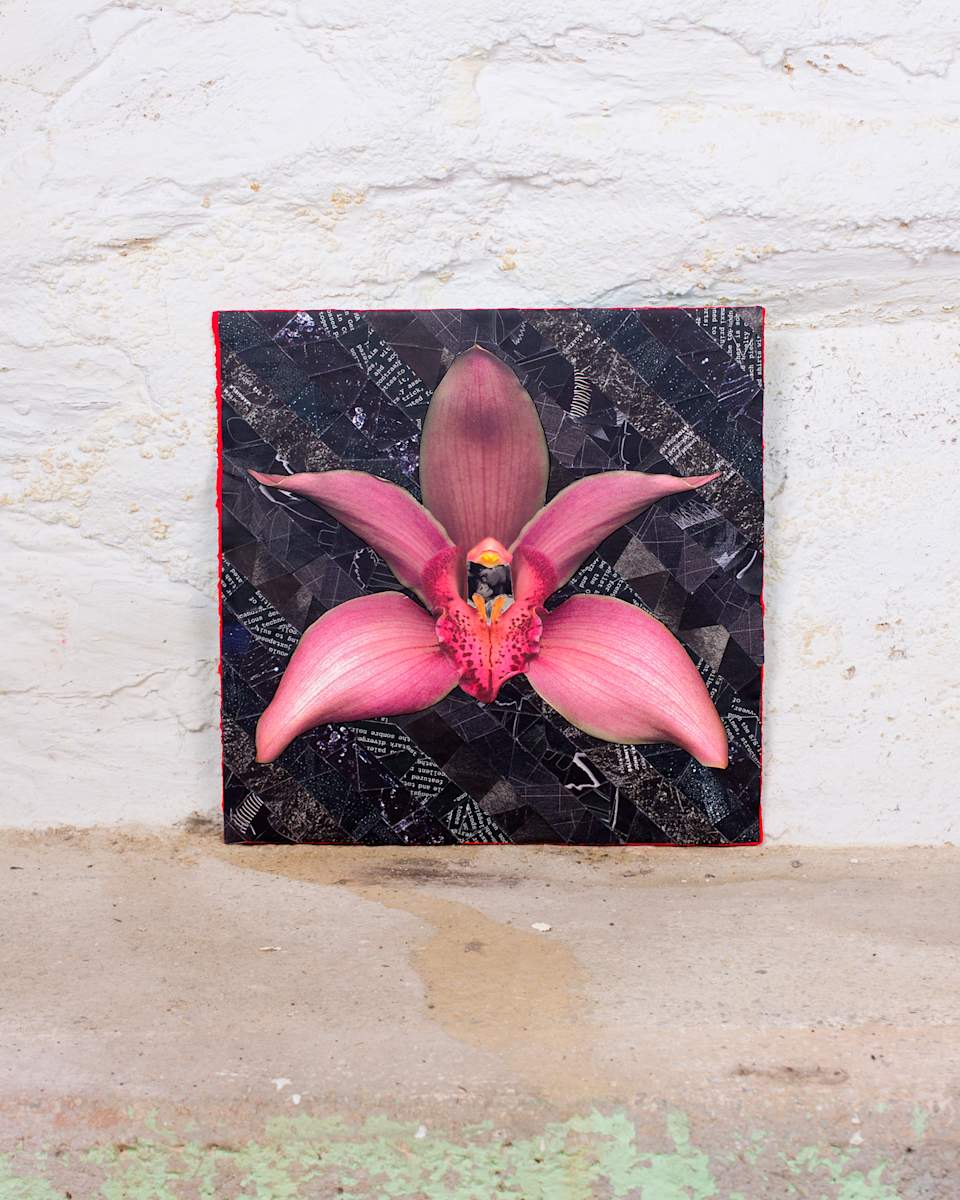 Orchid Dreams by Ann Altar 