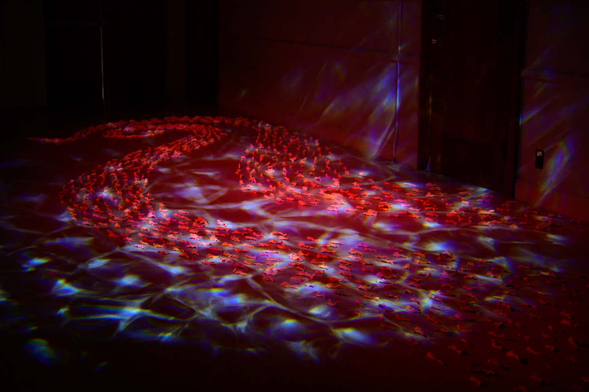 1000 Clay Fish by Jenny Chen 