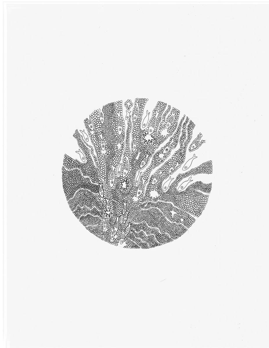 Untitled 1 by Jenny Chen 