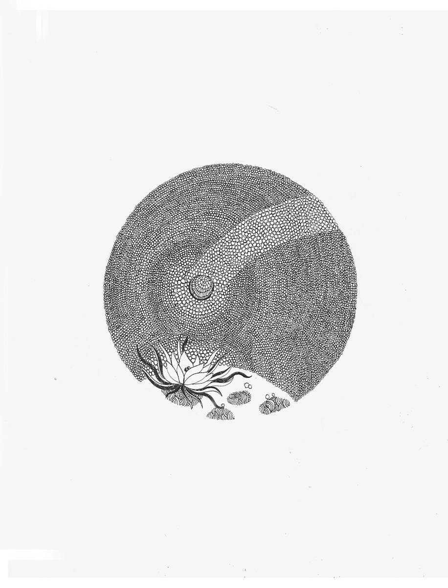 Untitled 2 by Jenny Chen 