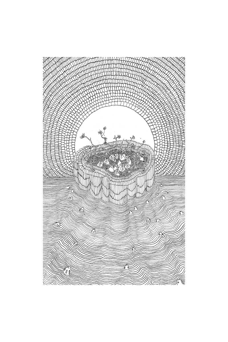 Multitude of Fish 10 by Jenny Chen 